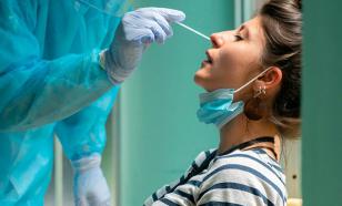 Генпрокурор поручил проверить обоснованность цен на ПЦР-исследования в РФ