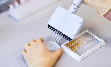 Две семьи в Подмосковье могли отравиться кониной