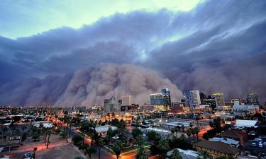 Турнир Конора Макгрегора в Черногории превратился в хаос: арена рухнула прямо на глазах зрителей