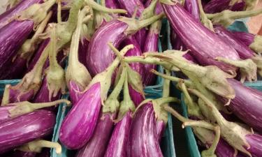 Фиолетовый аристократ с грядки: овощ, который требует поклонения и капельки золы