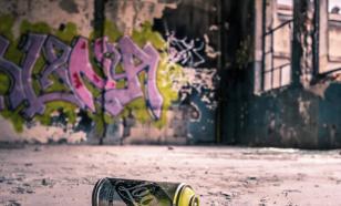 Nature Cities: в США могут появиться тысячи городов-призраков