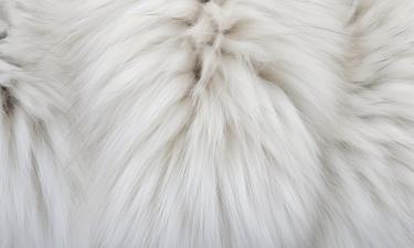 Пушистый мех с длинным ворсом стал главным трендом сезона — дизайнер Цыганова