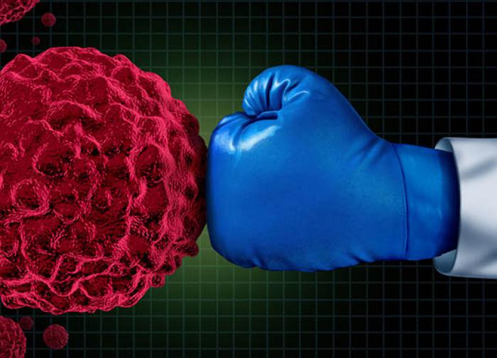 Открытие нового белка поможет в борьбе с раком