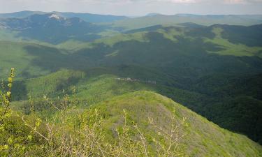 Туристы зимой чаще выбирают санаторное лечение на КМВ — врач Ирина Бурмистрова