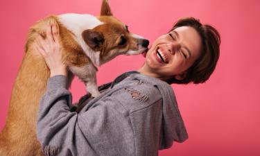 Короткие лапы и длинный список проблем: эта скрытая сторона жизни с корги пугает всех неподготовленных