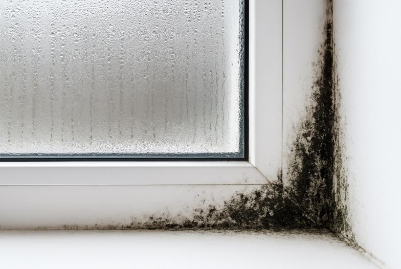 Конденсат и плесень в углу окна