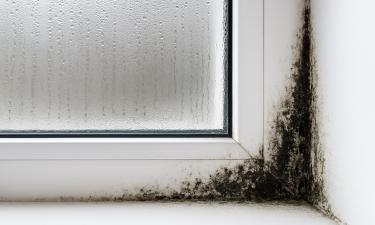 Осенняя сырость: странные места, где прячется плесень — не дайте ей шанса