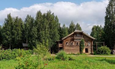 В Госдуме прокомментировали новый способ повышения рождаемости