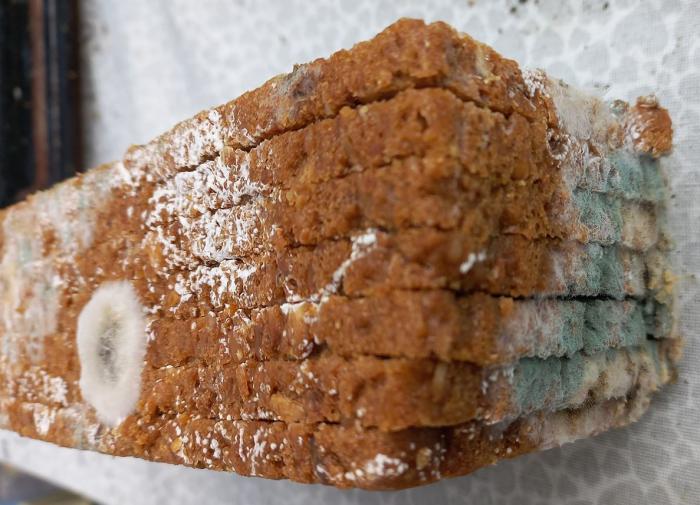 Врач Федулов рассказал, стоит ли спасать продукты с плесенью