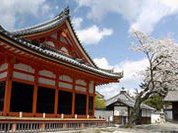 Курилы довели Японию до "потери лица"