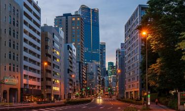 Японцы обожают советскую мелодраму "Москва слезам не верит"