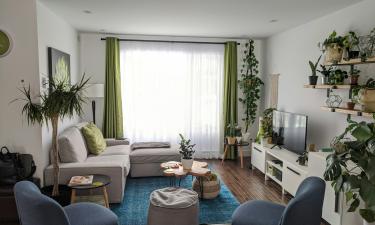 Тёмные шторы блокируют свет и сжимают пространство