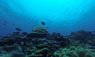 В Краснодарском крае обнаружен новый вид пресноводной рыбы