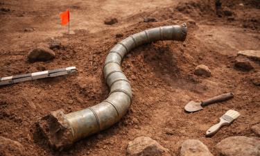 В Норфолке нашли почти целую боевую трубу карникс — директор экспедиции Марк Хинман