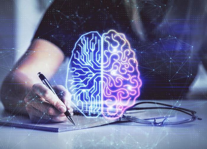 Учёные узнали, как мозг запоминает информацию