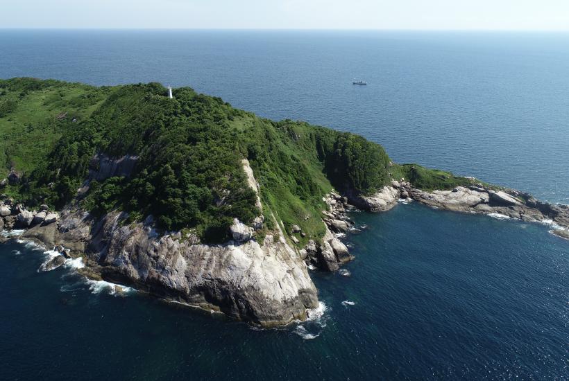 Кеймада-Гранди или Змеиный остров в Атлантическом океане