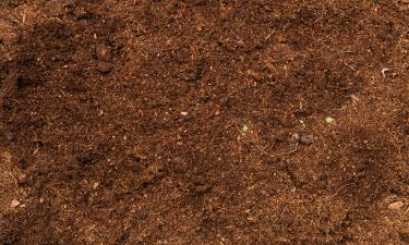 Голландская вспашка улучшила дренаж на тяжёлых почвах — Mein schöner Garten