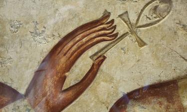 Актиния-звёздочка: морское чудо раскрывает секреты вечной молодости