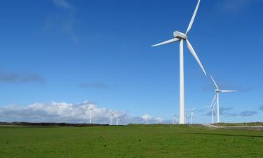 Гигантские убытки немцев: как ветряные электростанции влияют на счета