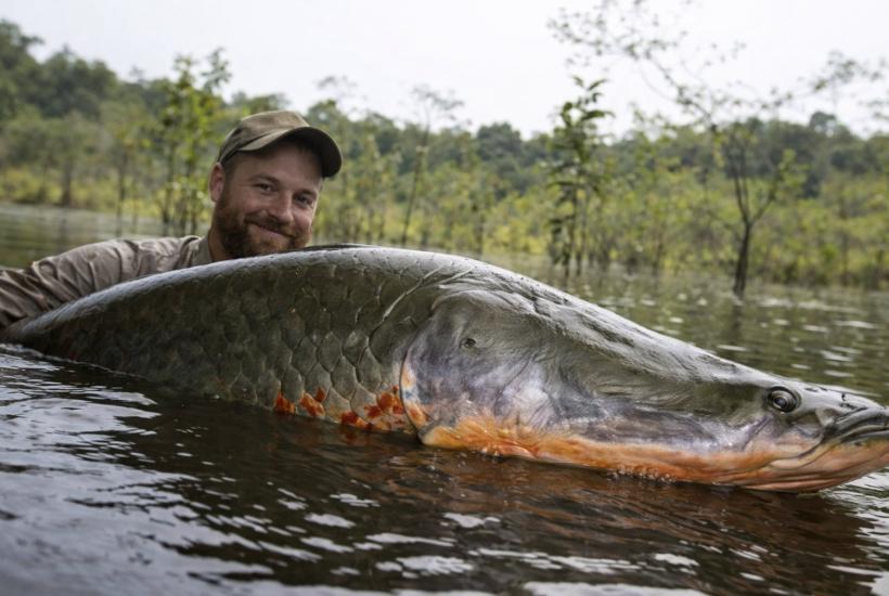 Крупная пресноводная рыба