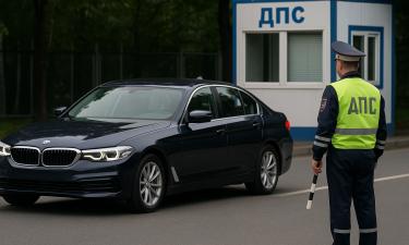 Эксперты рассказали когда инспектор ГАИ может применить физическую силу