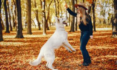 Ежедневные прогулки с собакой снижают вес на 5–7 кг за год — врач Демьяновская