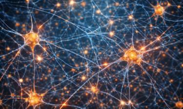 Белковые датчики позволяют услышать язык нейронов — руководитель Подгорски