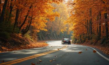 Циклон смещается: что ждать москвичам в начале октября после рекордов сентября