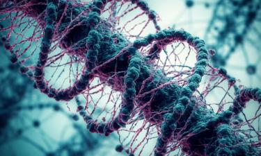 Бессмертие отменяется: почему природа сильнее всех биотехнологий