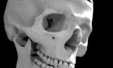 Раскопки, от которых холодеет кровь: что нашли в Хорватии