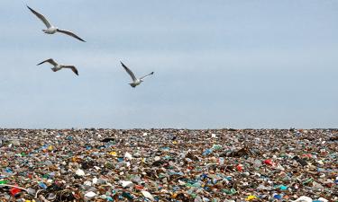 Ущерб от незаконного сброса отходов в Британии достиг 1 млрд фунтов — палата лордов