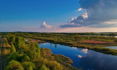 Бюджет Вологодской области сократился до 90 млрд рублей — Законодательное собрание