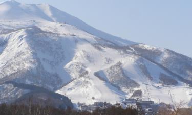 Курорт Нисеко стал международным центром зимнего отдыха — гиды