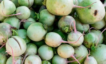 Вкус, который согревает изнутри: как один корнеплод стал главным союзником иммунитета