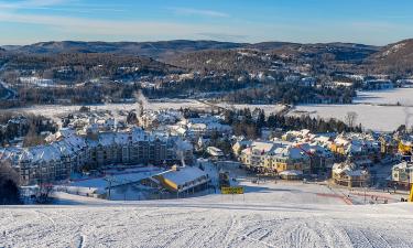 Мон -Тремблан стал рождественским чудом рядом с Монреалем — MTLblog