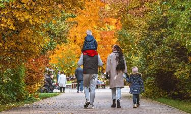 Сезонная депрессия кажется неизбежной: но есть способы вернуть энергию и интерес к жизни