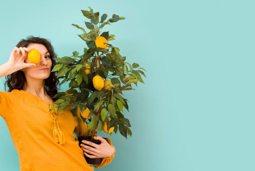 Девушка с цитрусовым деревом