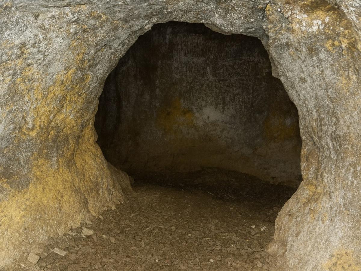 В Южной Америке обнаружили гигантские туннели плейстоцена  Earth