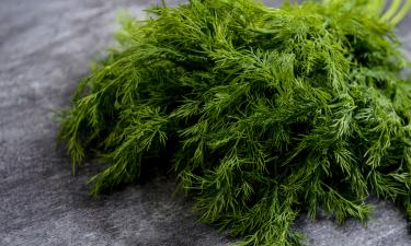 Петрушку держат в содовой воде для удаления микробов