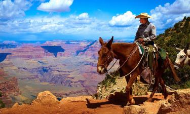 Специалисты выделили топ-10 важнейших фильмов жанра вестерн в истории кино