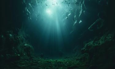 Глубоководная добыча сократила численность фауны на 37% — Nature Ecology & Evolution