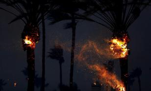 В турецкой Анталье из-за лесного пожара пострадало более 50 человек