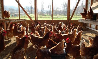 Эксперт назвала самые неочевидные для путешествий направления России