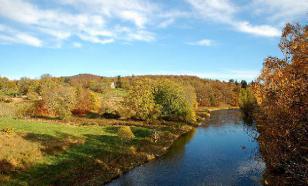 Находиться в реке Дон опасно рыбам и человеку