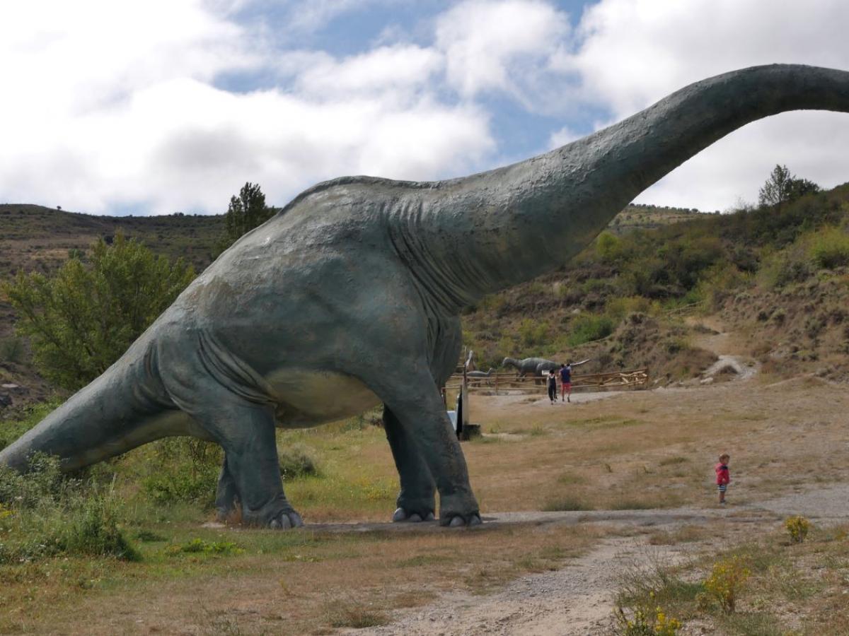 Как будто выиграли в лотерею: найдена кость динозавра в скважине Денверского музея