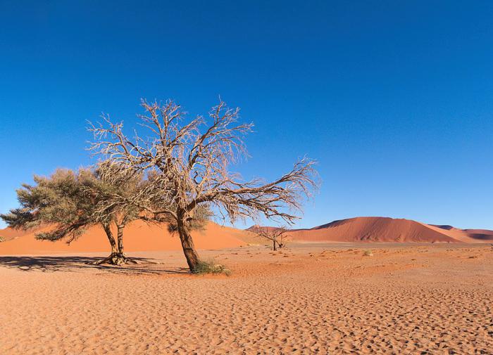 Южноафриканские ученые выяснили, что уже 70 тысяч лет назад люди пользовались обувью
