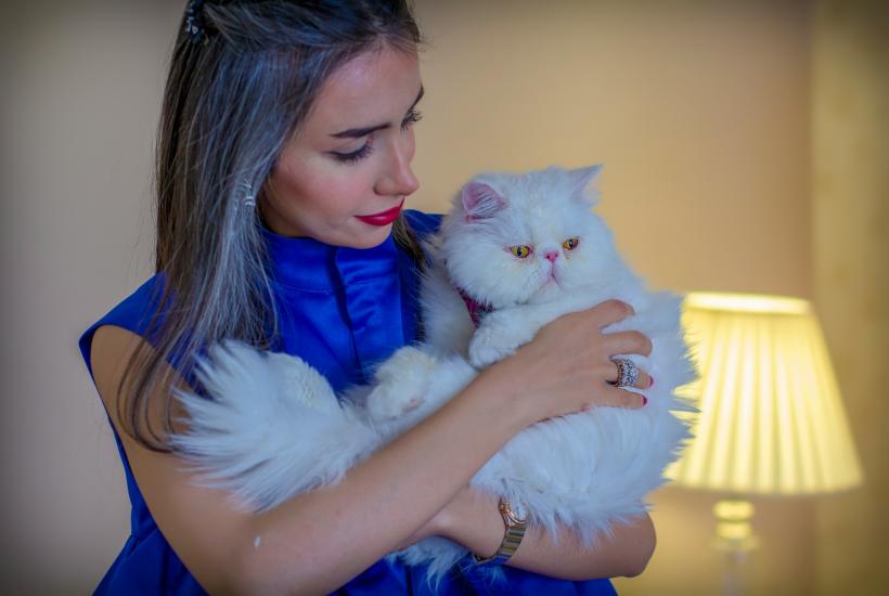 Девушка и кошка
