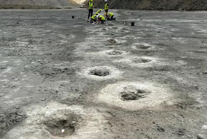 Следы динозавров