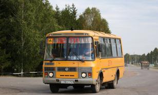 Школьный автобус попал в ДТП в Псковской области, трое детей в реанимации