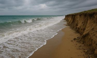 К концу века мир может потерять до 50% береговой линии — профессор Омар Дефео